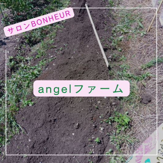 angelファーム